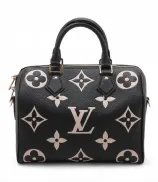 Louis Vuitton Speedy 25