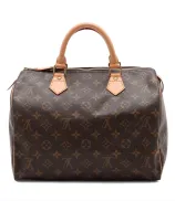 Louis Vuitton Speedy
