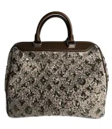 Louis Vuitton Speedy