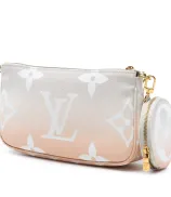 Louis Vuitton Multi Pochette Accessoires