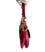 Dior Saddle Mini