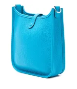 Hermes Evelyne
