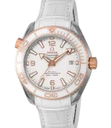Omega Seamaster Planet Ocean 600M