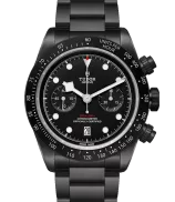 Tudor Black Bay