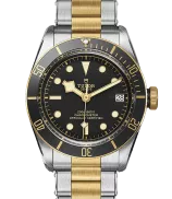 Tudor Black Bay