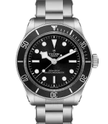 Tudor Black Bay
