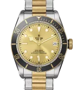Tudor Black Bay