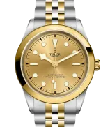 Tudor Black Bay