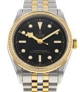 Tudor Black Bay