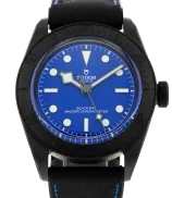 Tudor Black Bay