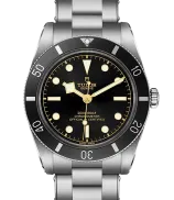 Tudor Black Bay 54