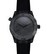 Omega Seamaster Diver 300M Co-axial Master Chronometer