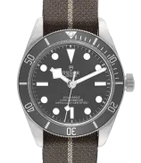 Tudor Black Bay 58