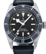 Tudor Black Bay