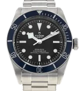 Tudor Black Bay