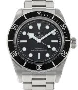 Tudor Black Bay