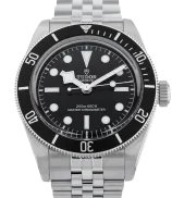 Tudor Black Bay