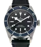 Tudor Black Bay
