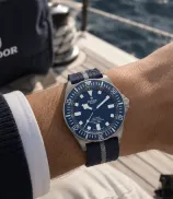 Tudor Pelagos