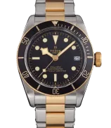 Tudor Black Bay
