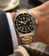 Tudor Black Bay